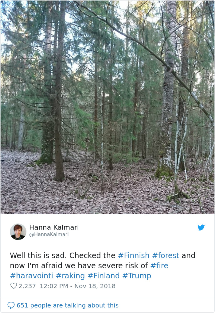 Finns-Troll-Trump-Raking-Leaves-Wildfire-Prevention