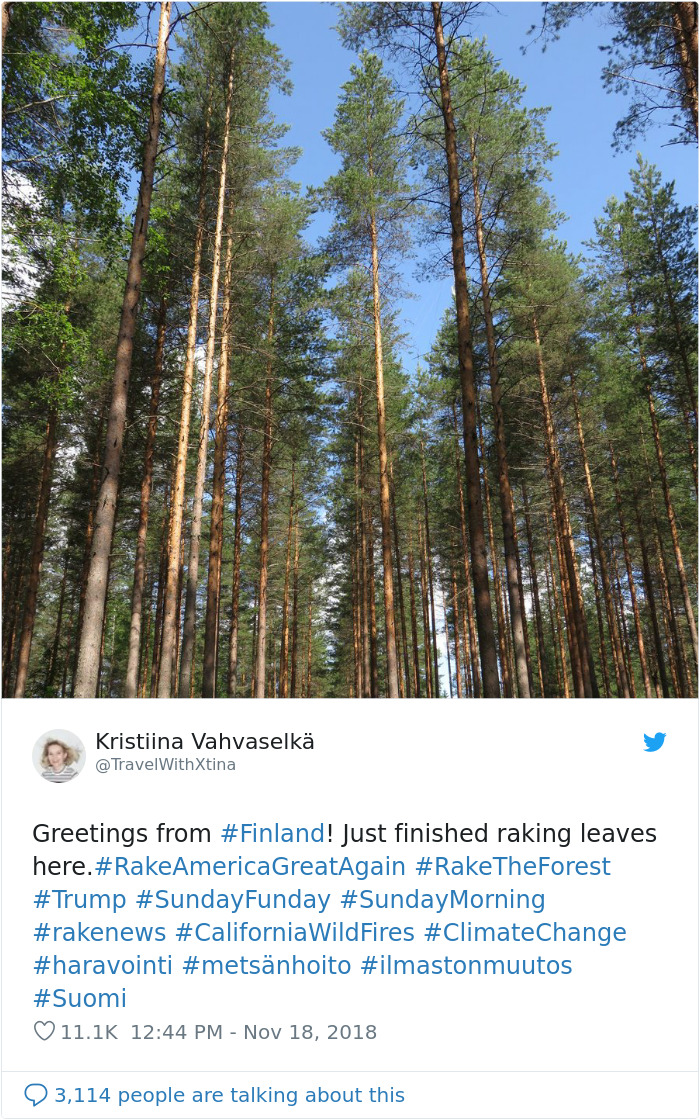 Finns-Troll-Trump-Raking-Leaves-Wildfire-Prevention