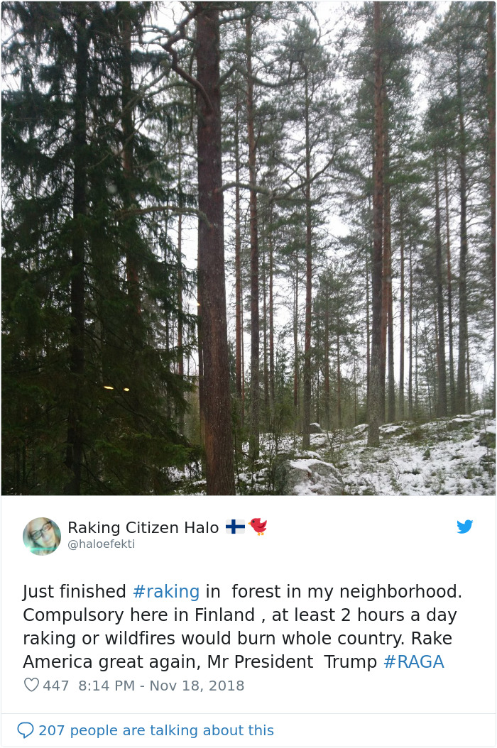 Finns-Troll-Trump-Raking-Leaves-Wildfire-Prevention