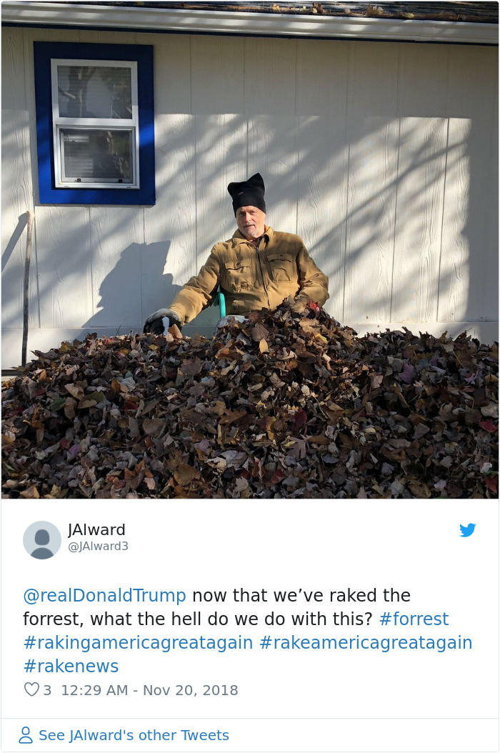 Finns-Troll-Trump-Raking-Leaves-Wildfire-Prevention