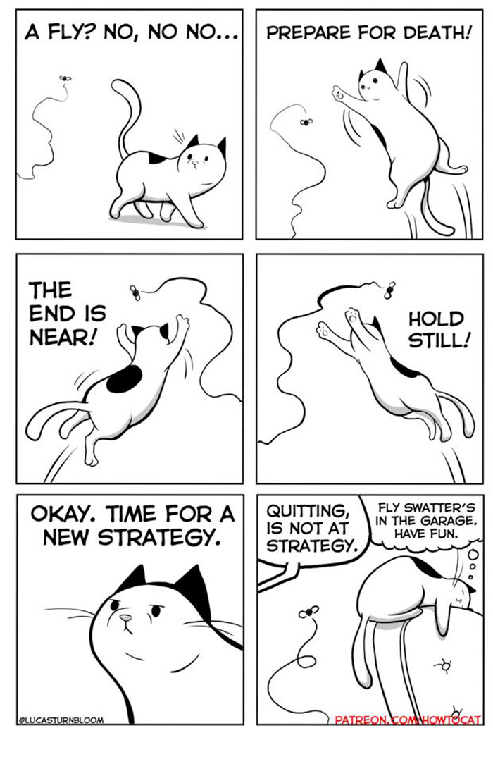 11 Comics For Cat Owners