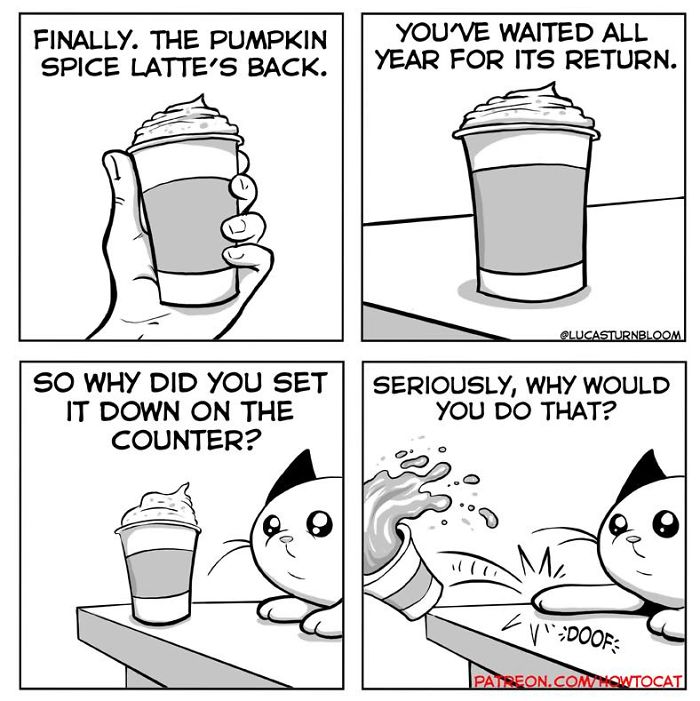 11 Comics For Cat Owners