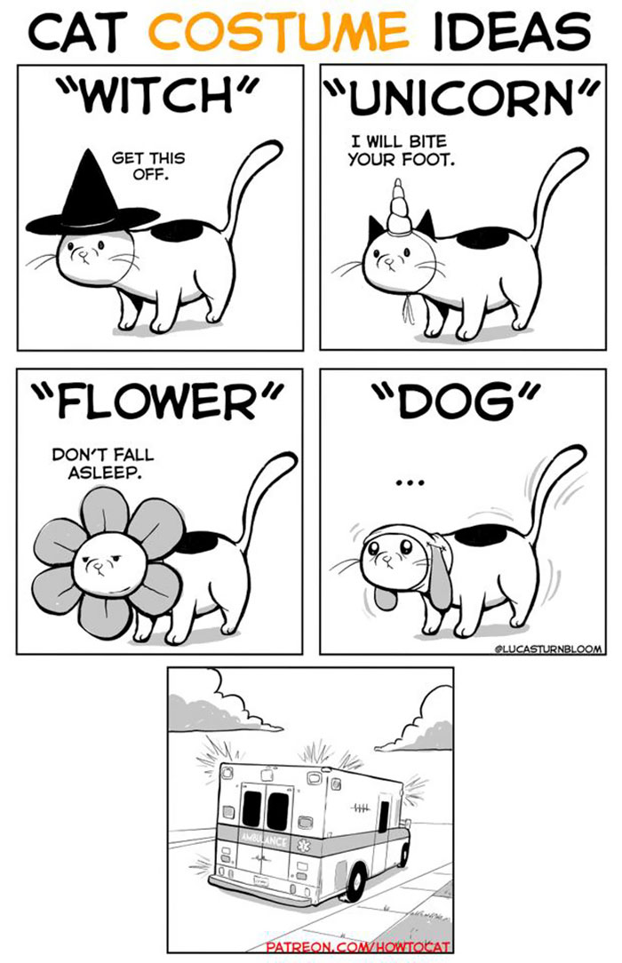 11 Comics For Cat Owners