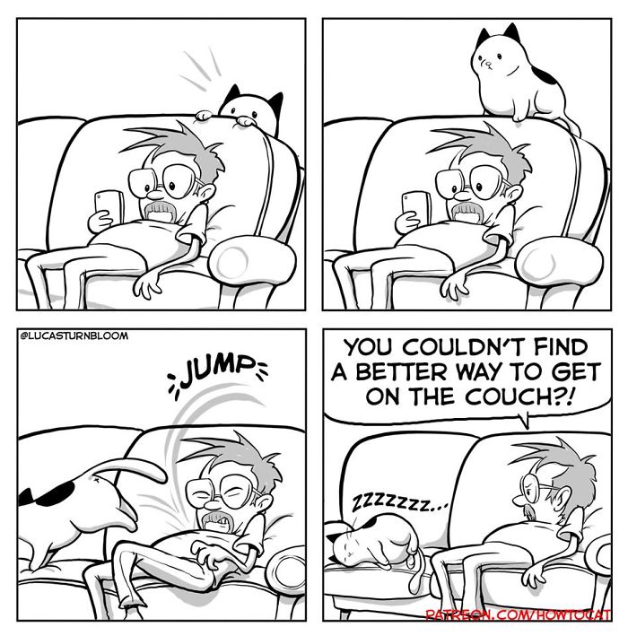 11 Comics For Cat Owners