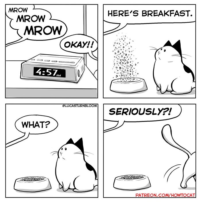 11 Comics For Cat Owners