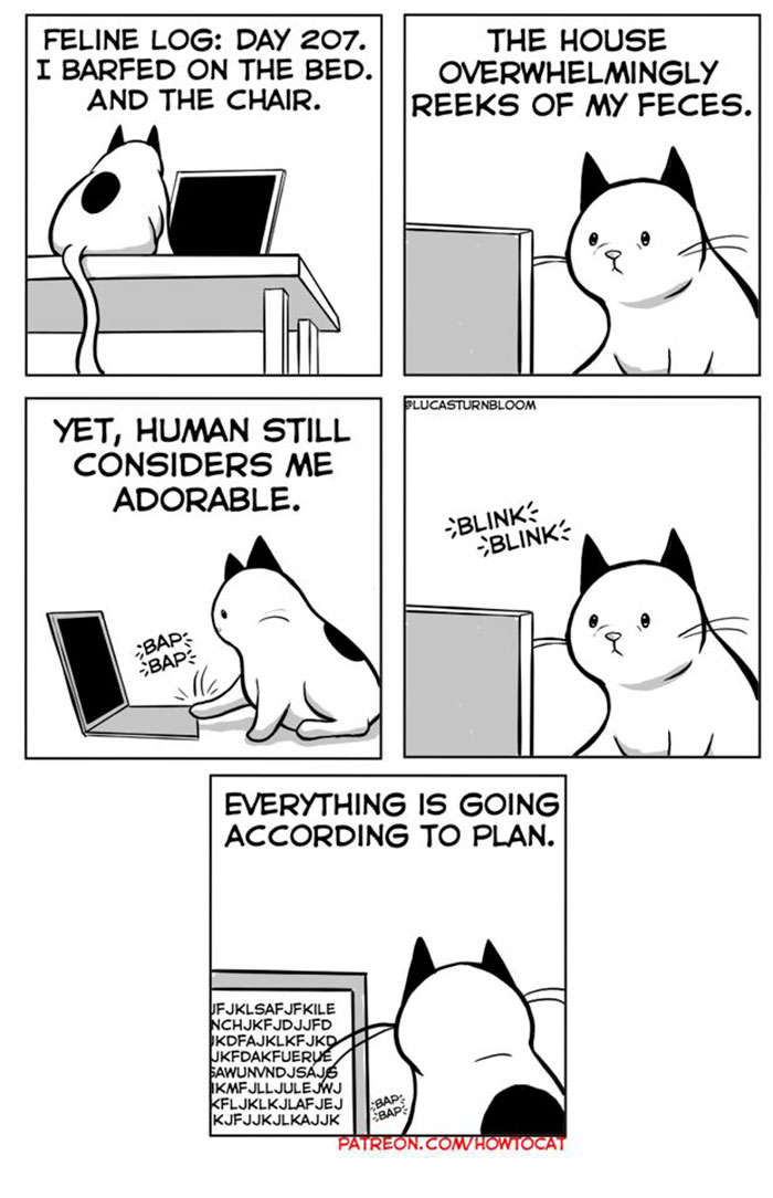 11 Comics For Cat Owners