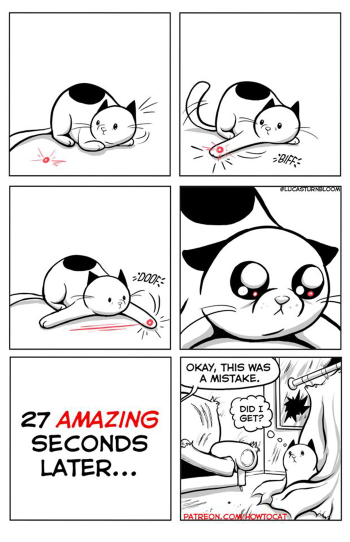 11 Comics For Cat Owners