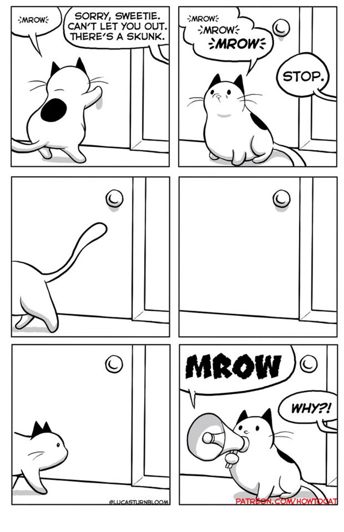 11 Comics For Cat Owners