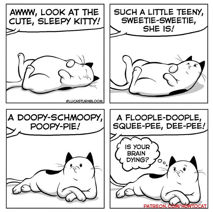 11 Comics For Cat Owners