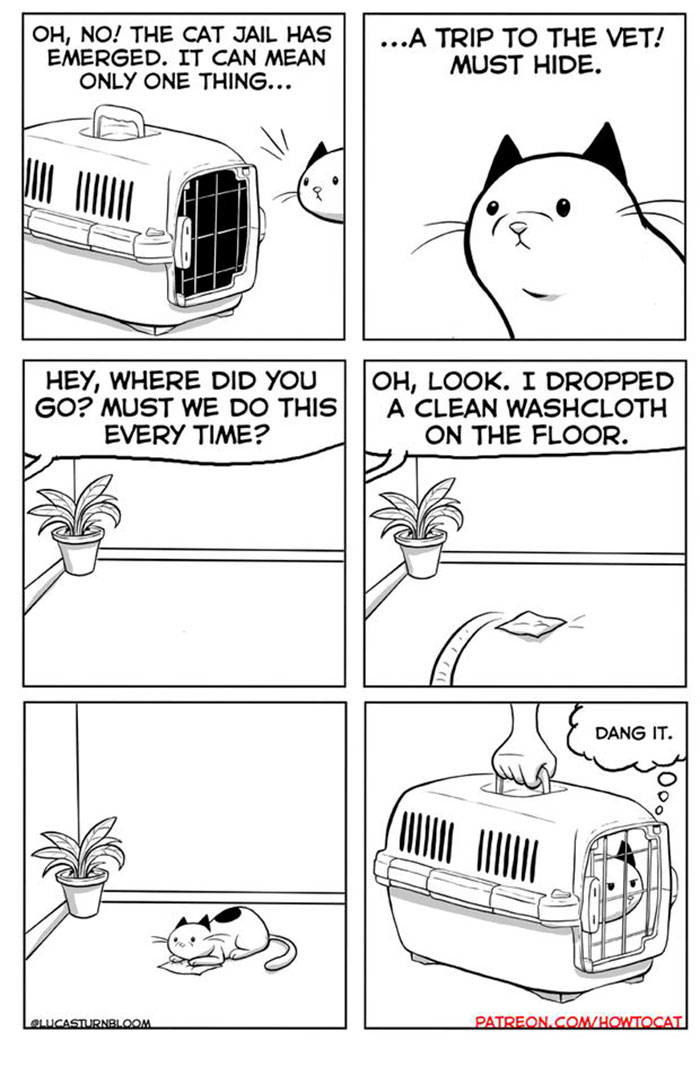 11 Comics For Cat Owners