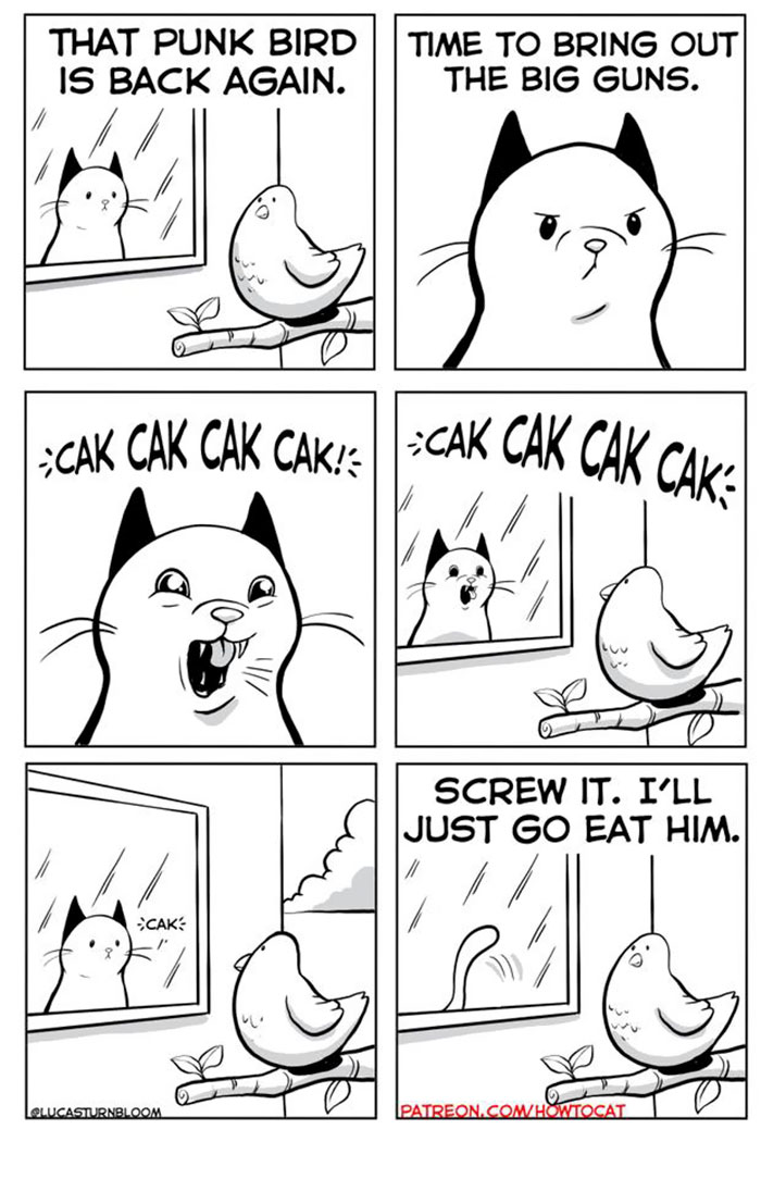 11 Comics For Cat Owners
