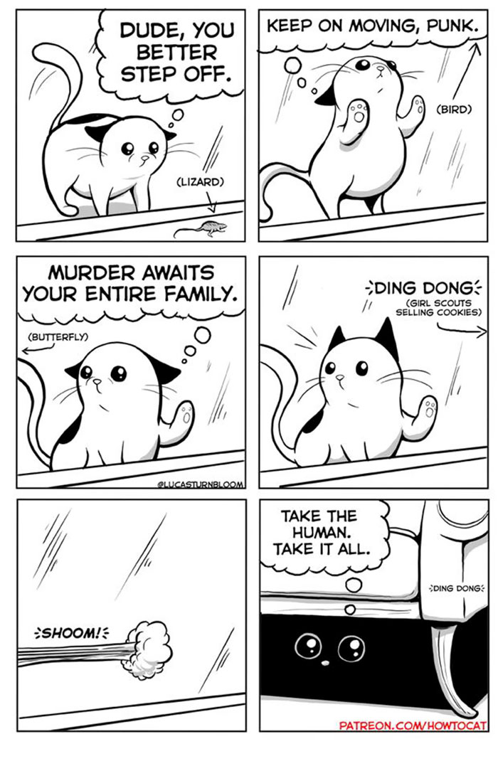 11 Comics For Cat Owners