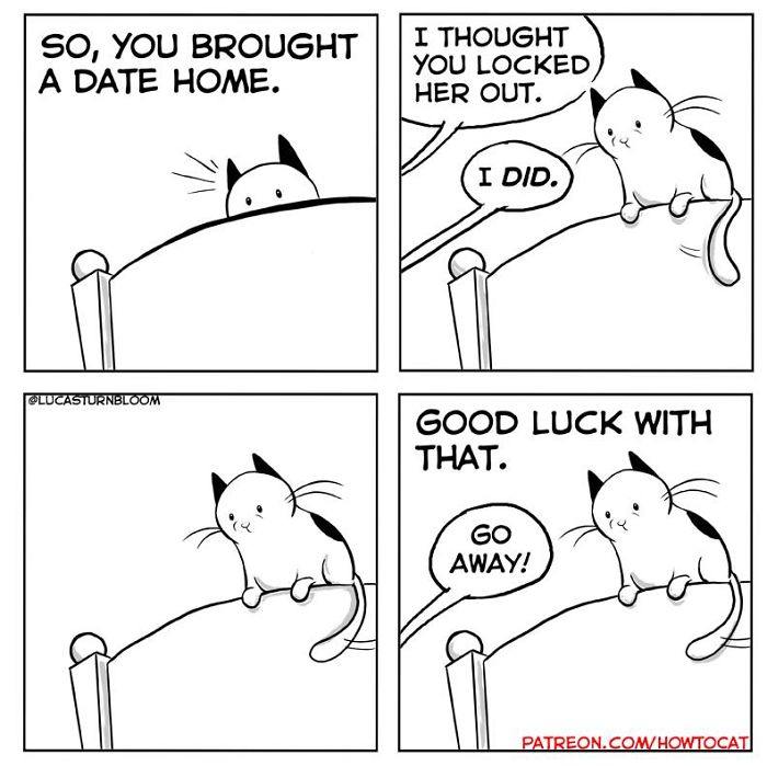 11 Comics For Cat Owners
