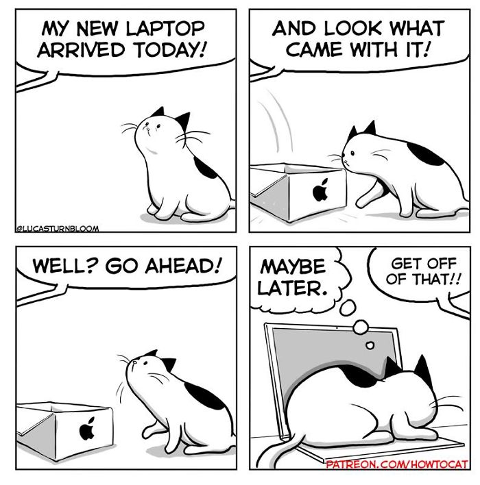 11 Comics For Cat Owners