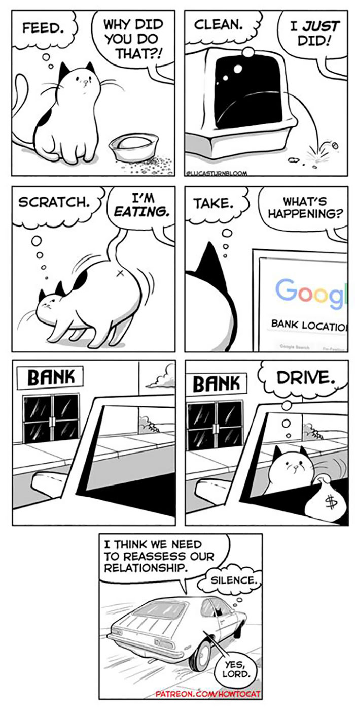 11 Comics For Cat Owners