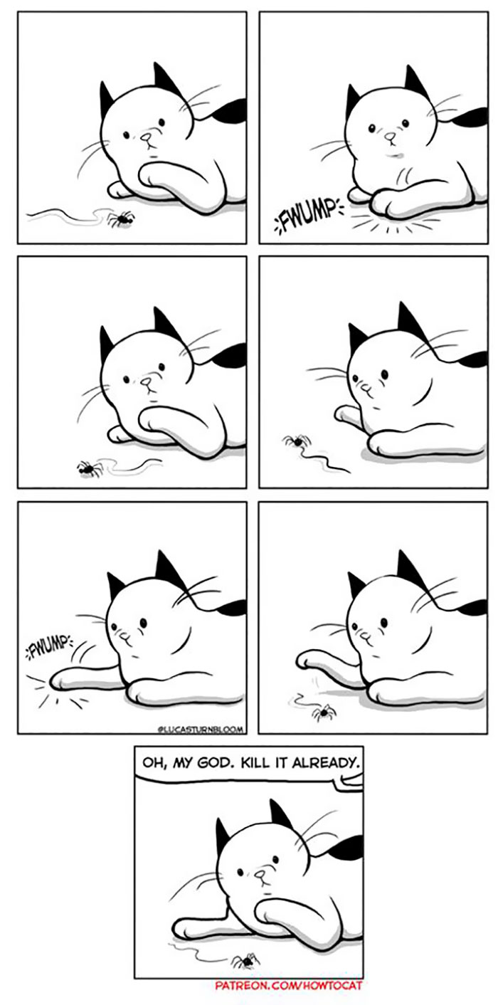 11 Comics For Cat Owners
