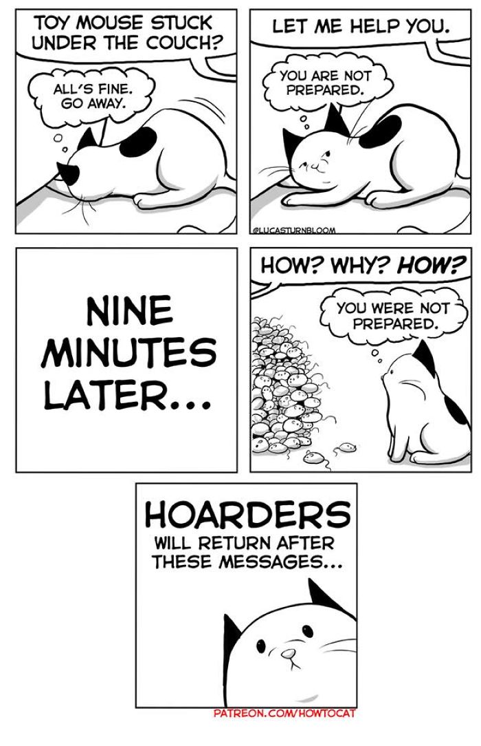 11 Comics For Cat Owners