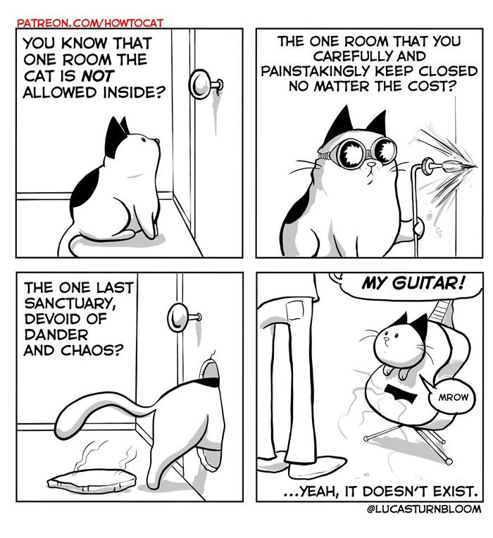 11 Comics For Cat Owners