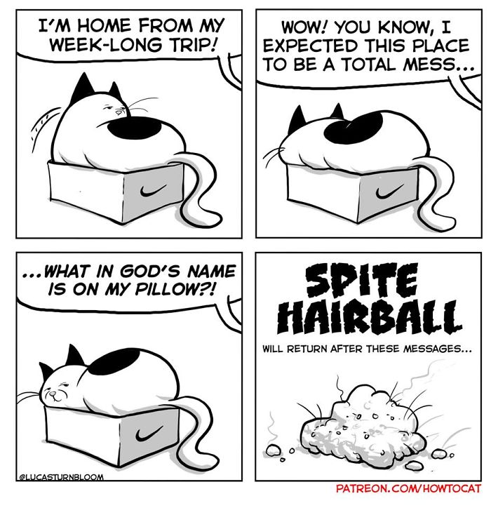 11 Comics For Cat Owners