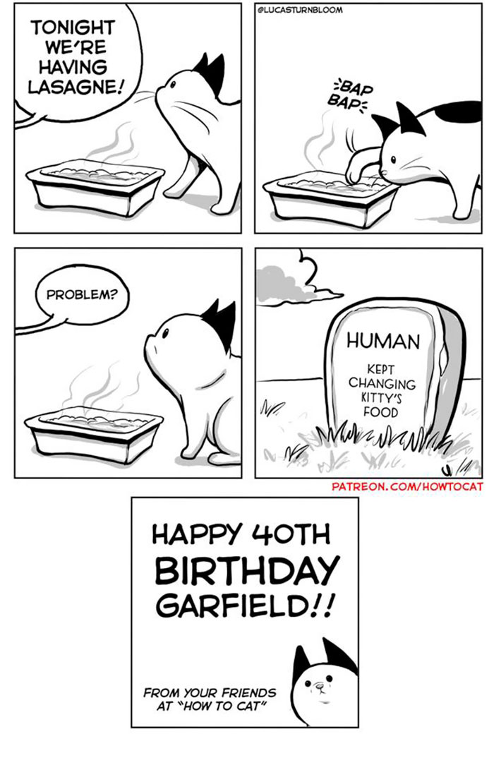 11 Comics For Cat Owners