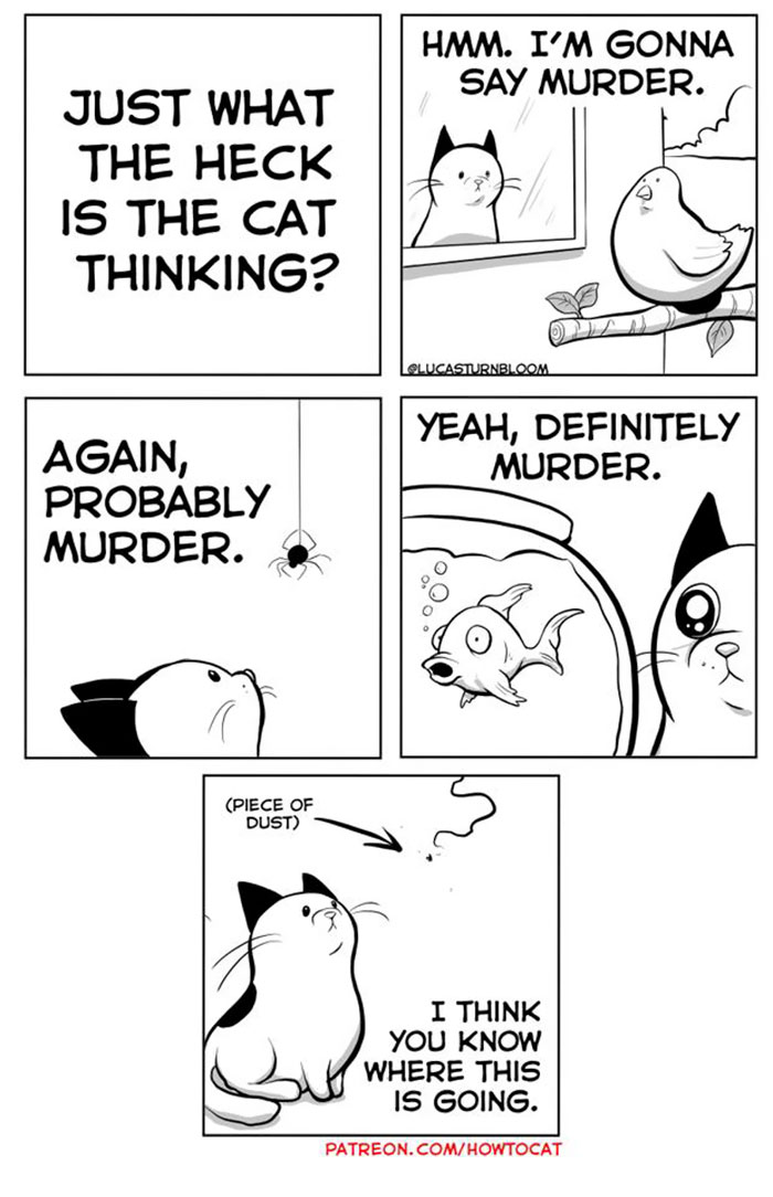 11 Comics For Cat Owners