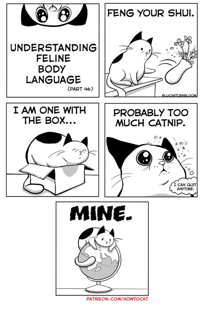 11 Comics For Cat Owners
