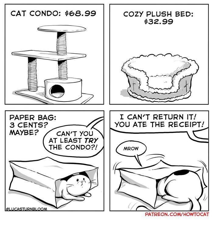 11 Comics For Cat Owners