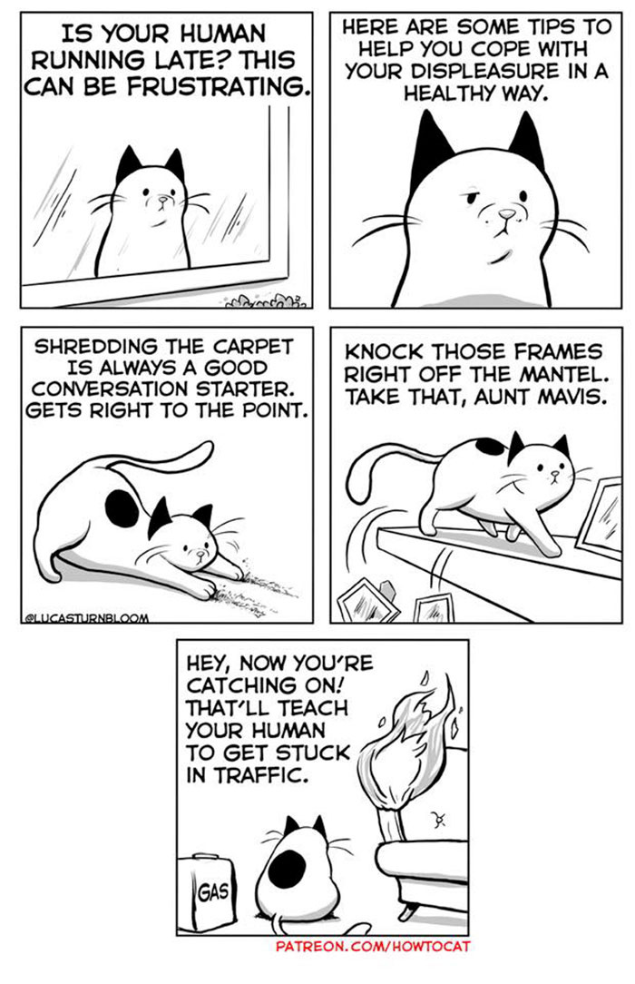 11 Comics For Cat Owners