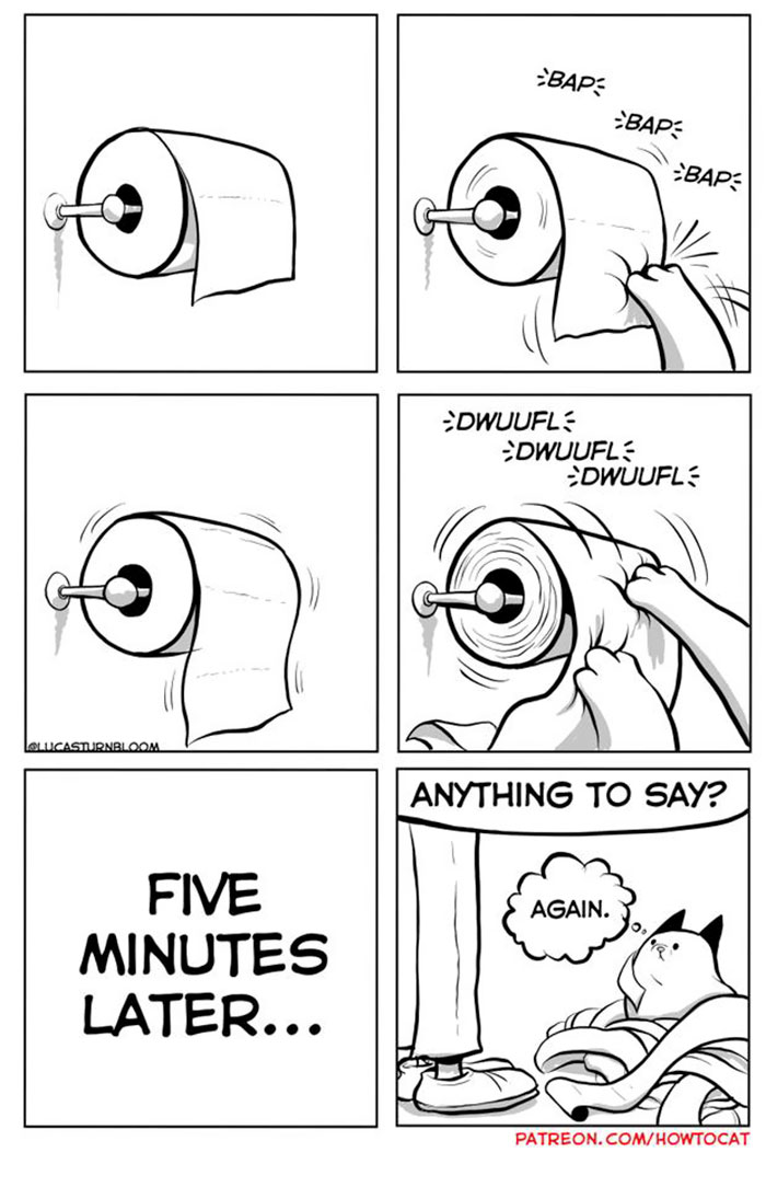 11 Comics For Cat Owners