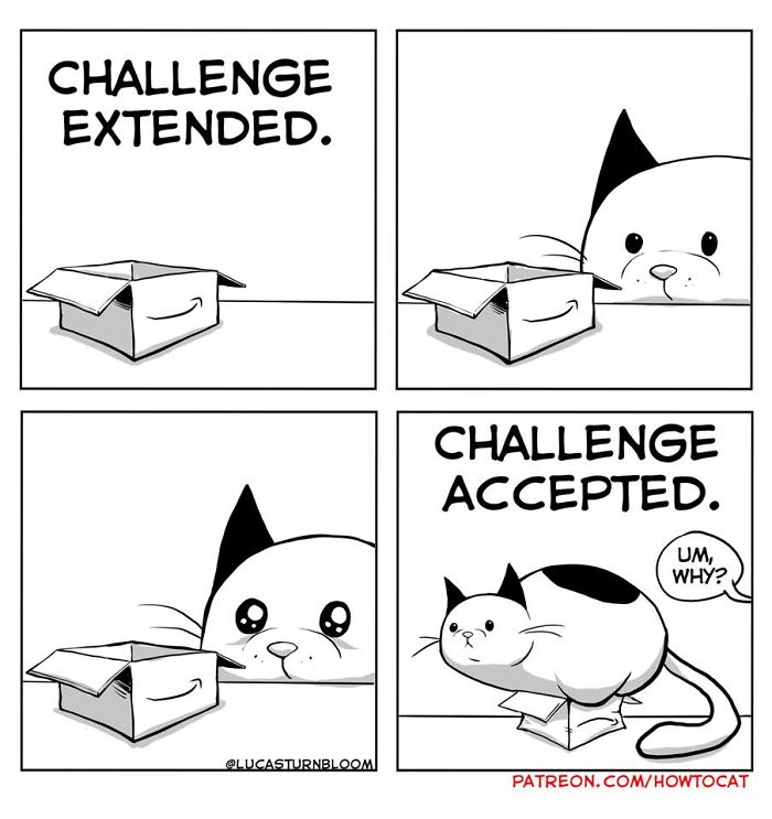 11 Comics For Cat Owners