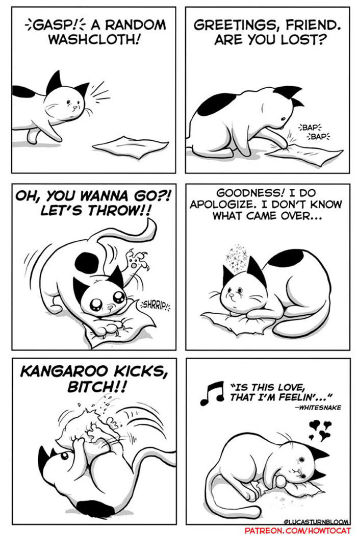 11 Comics For Cat Owners