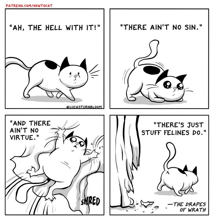 11 Comics For Cat Owners