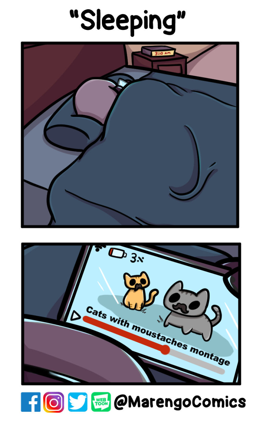 Despite Their Furry Rejections And Claims To My Stuff, I Still Spent My Nights Like This