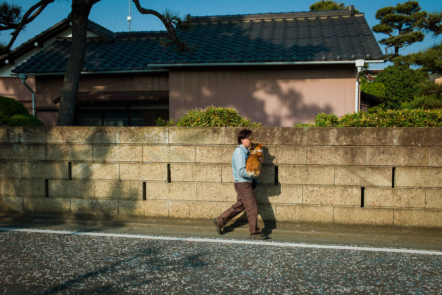 Japanese Photographer Manages To Show Bright Moments In Everyday Life In Japan