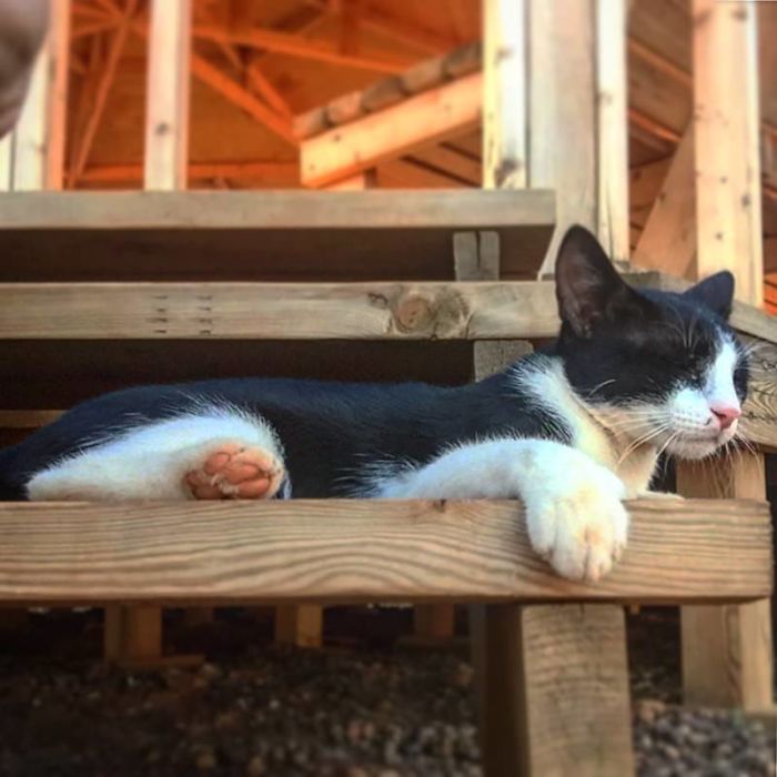 I'm Leaving The Military To Be A Writer - And Now I'm An Award-Winning Author!