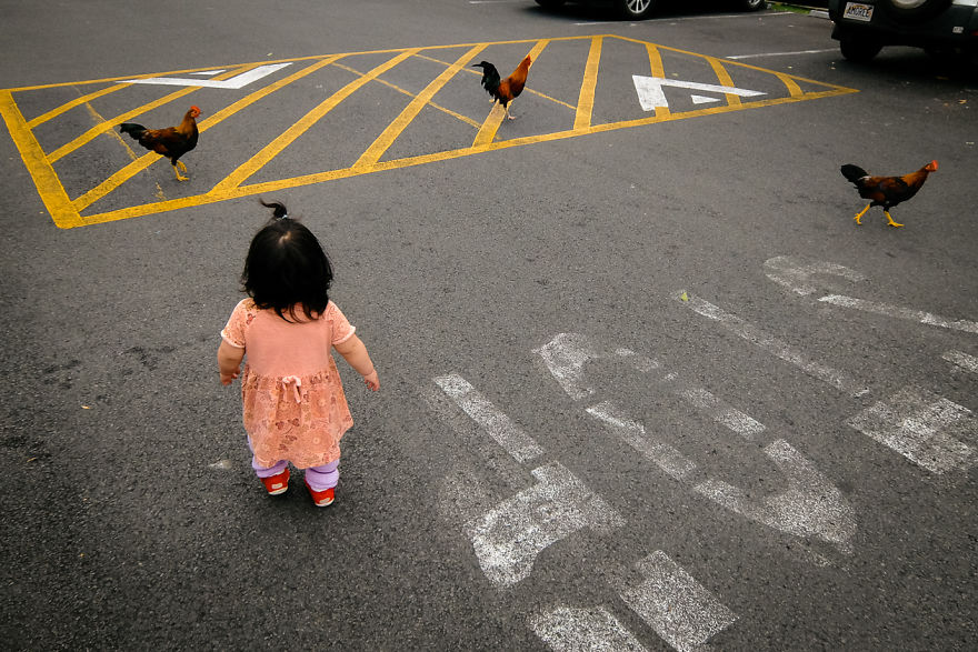 Japanese Photographer Manages To Show Bright Moments In Everyday Life In Japan