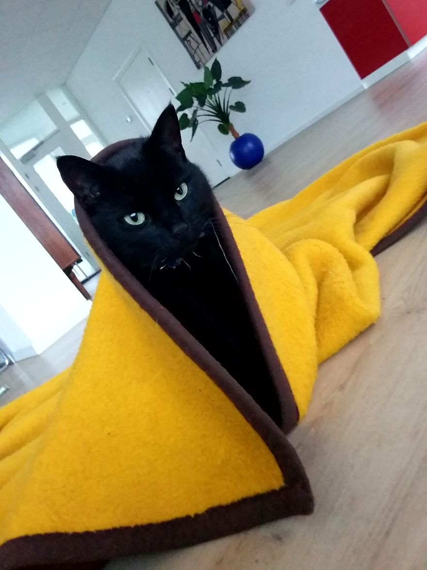 Sooooooooooooooooo Tired