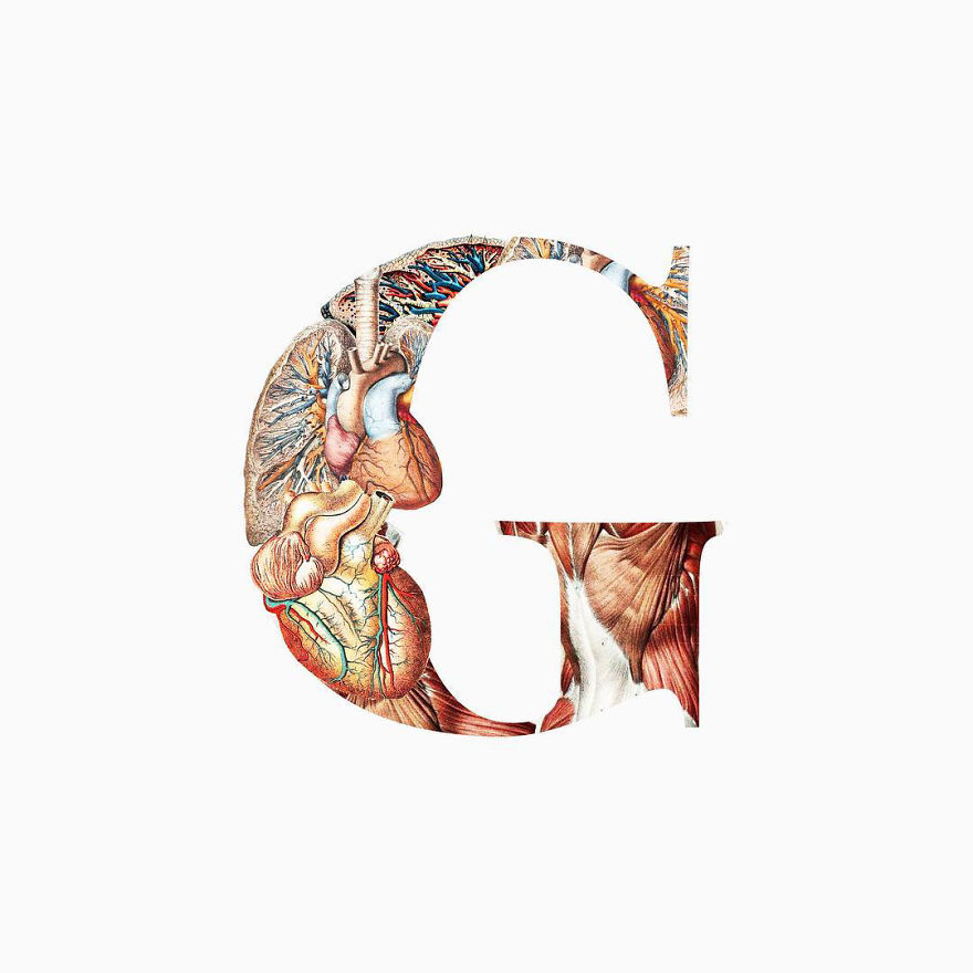 I Started Drawing Alphabet Letters To Overcome My Creative Struggles I Started Drawing Alphabet Letters To Overcome My Creative Struggles