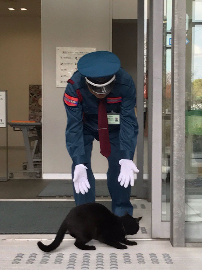 Two Cats In Japan Have Been Trying To Sneak Into A Museum For Years (30 Pics) Two Cats In Japan Have Been Trying To Sneak Into A Museum For Years (30 Pics)