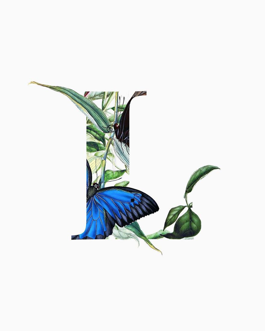 I Started Drawing Alphabet Letters To Overcome My Creative Struggles I Started Drawing Alphabet Letters To Overcome My Creative Struggles