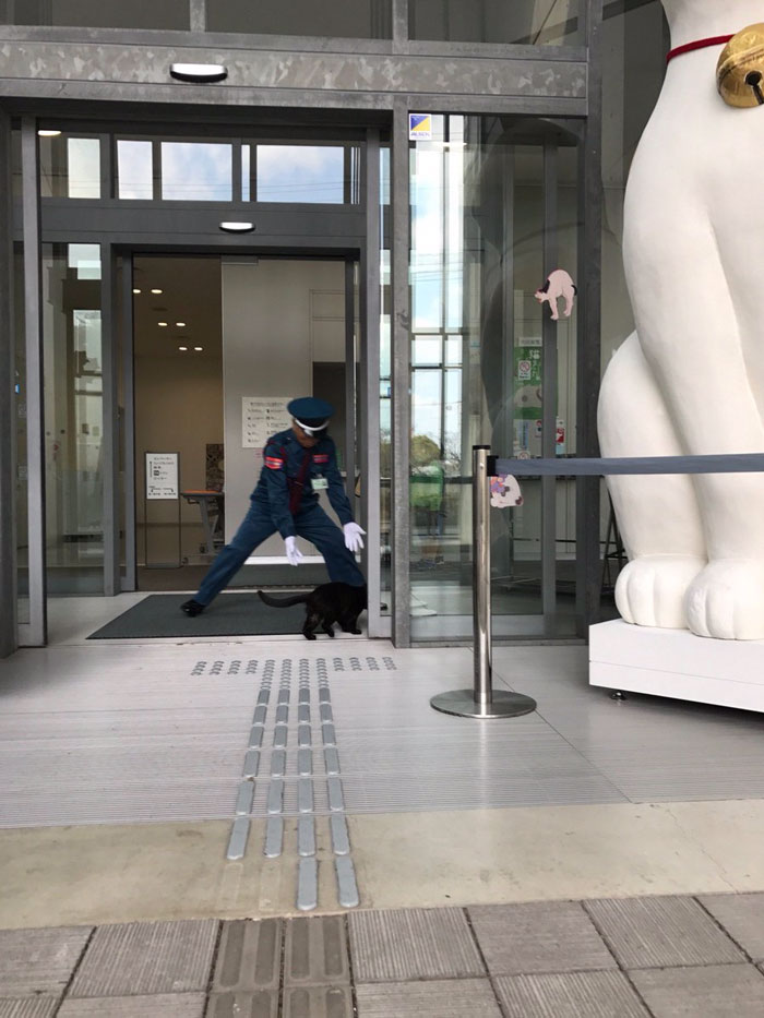 Two Cats In Japan Have Been Trying To Sneak Into A Museum For Years (30 Pics) Two Cats In Japan Have Been Trying To Sneak Into A Museum For Years (30 Pics)