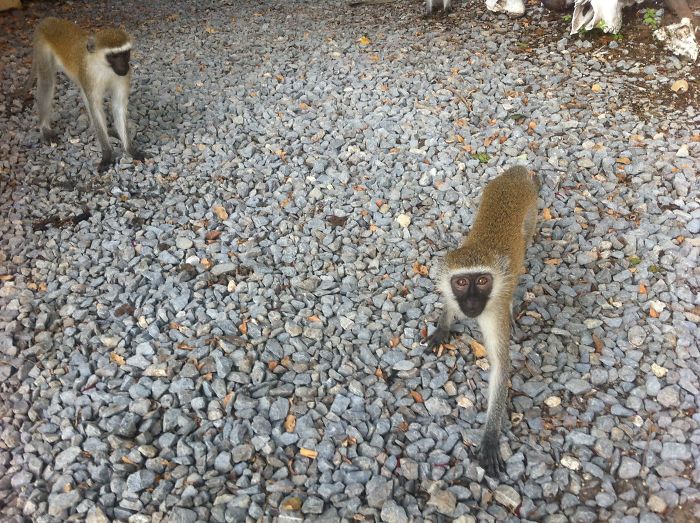 I'm Leaving The Military To Be A Writer - And Now I'm An Award-Winning Author!