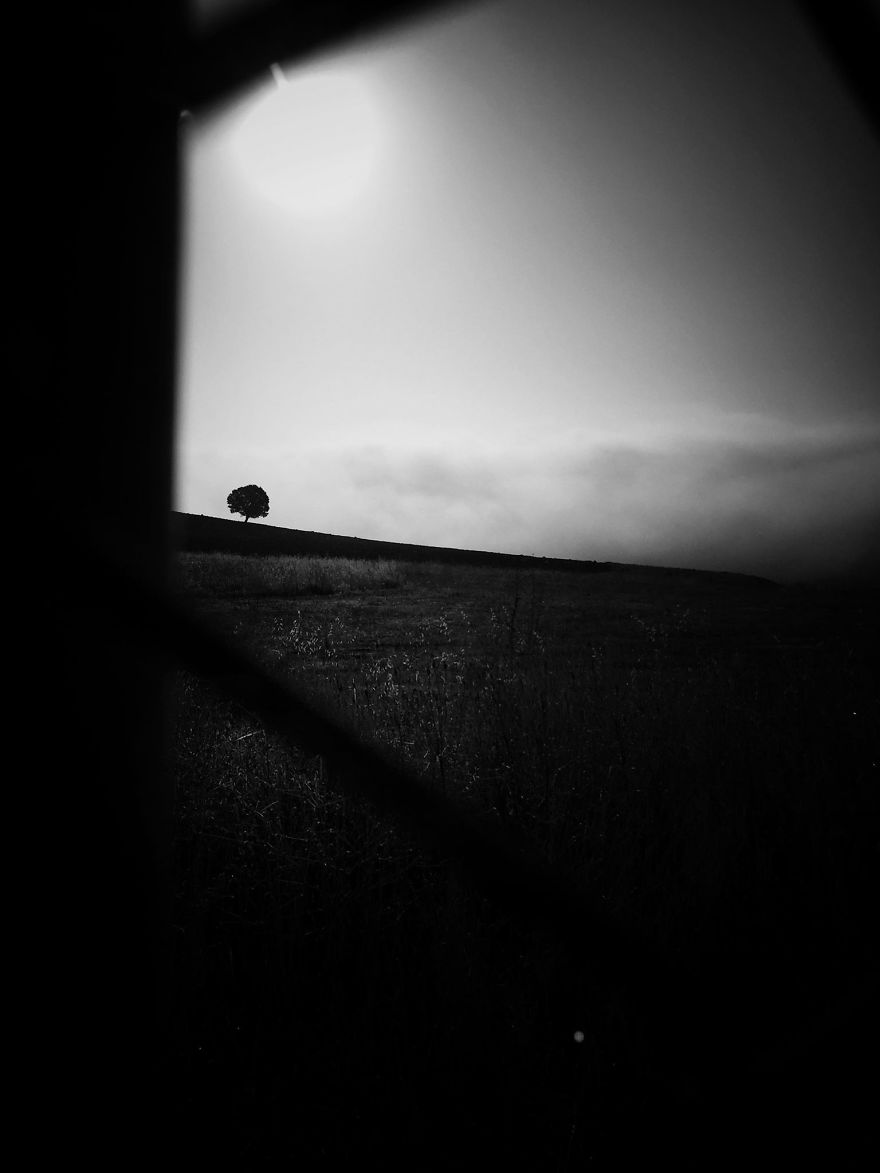 Photographer Captures The Quiet Beauty Of Stillness