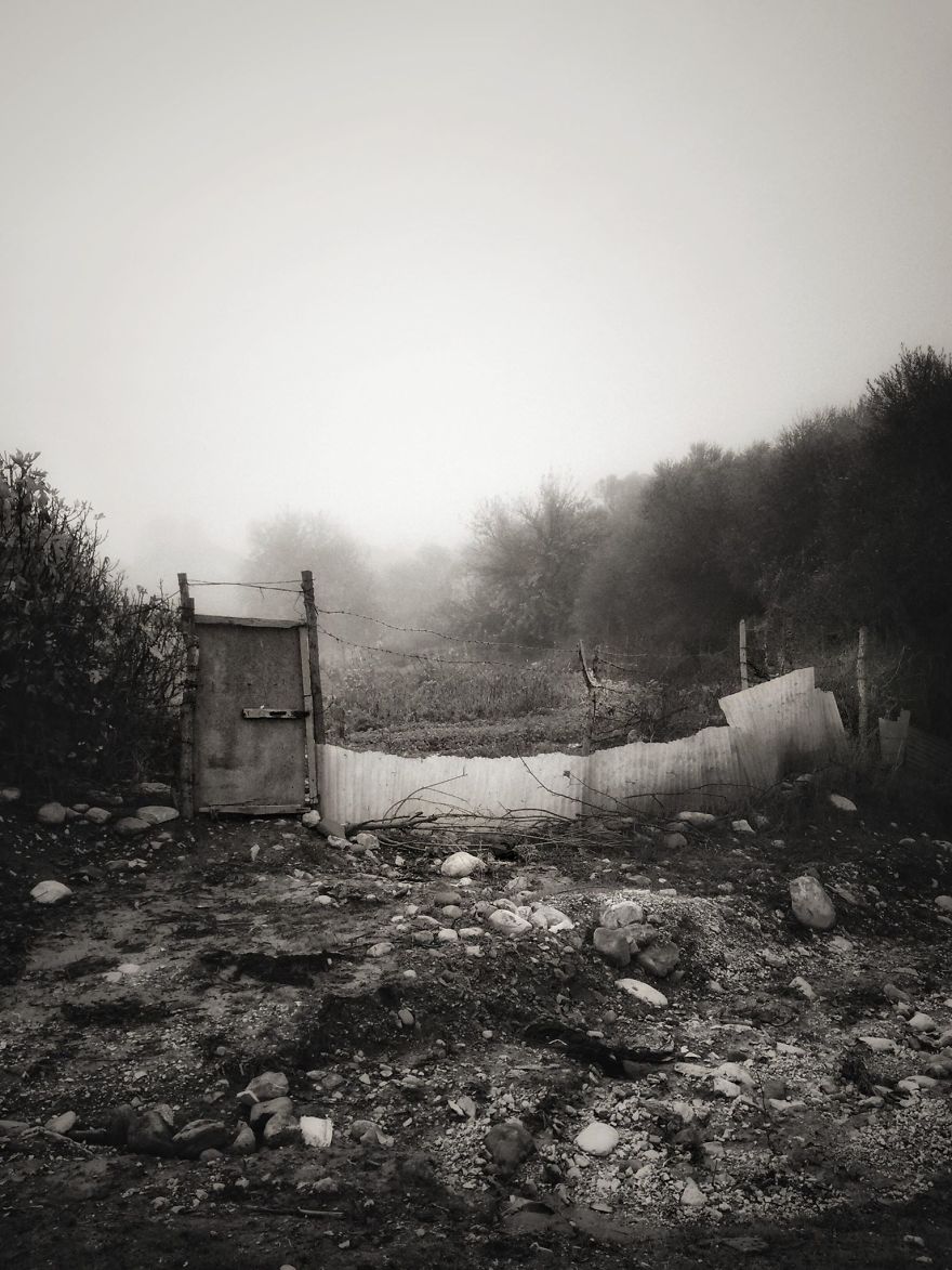 Photographer Captures The Quiet Beauty Of Stillness