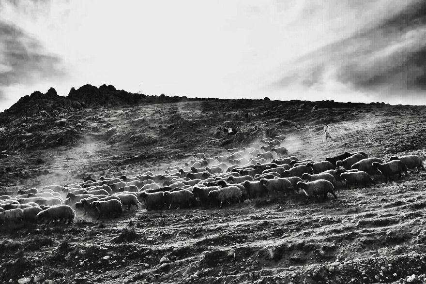 Photographer Captures The Quiet Beauty Of Stillness