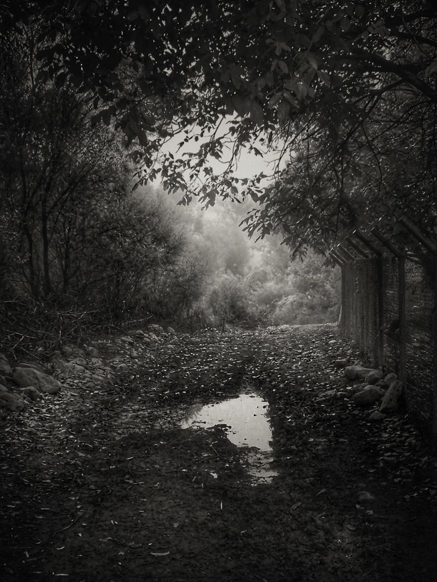 Photographer Captures The Quiet Beauty Of Stillness Photographer Captures The Quiet Beauty Of Stillness