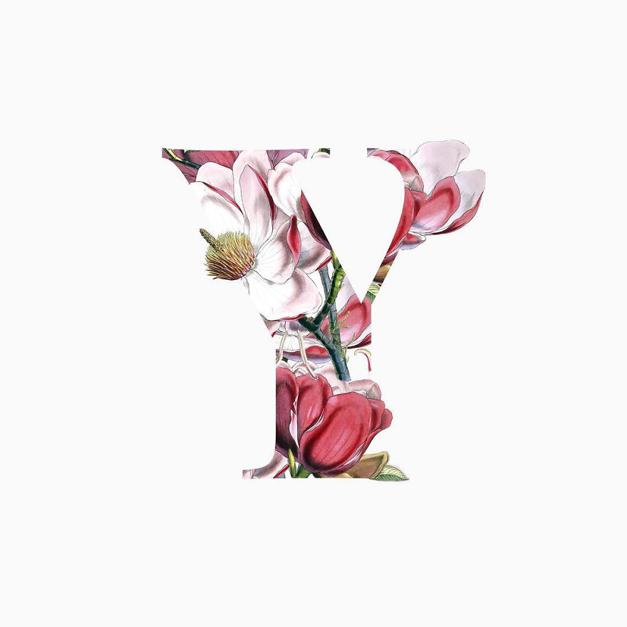 I Started Drawing Alphabet Letters To Overcome My Creative Struggles