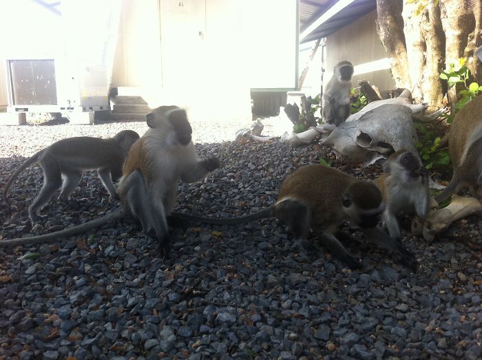 I'm Leaving The Military To Be A Writer - And Now I'm An Award-Winning Author! I'm Leaving The Military To Be A Writer - And Now I'm An Award-Winning Author!