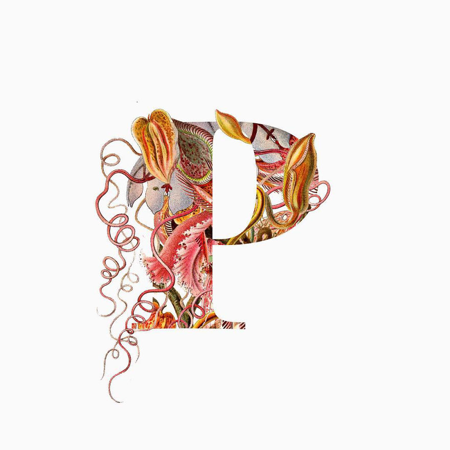 I Started Drawing Alphabet Letters To Overcome My Creative Struggles I Started Drawing Alphabet Letters To Overcome My Creative Struggles