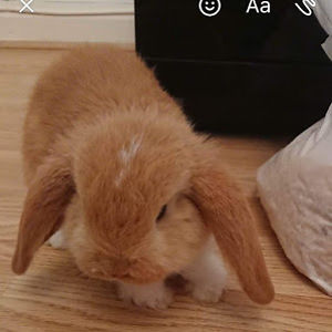 milliekaterowntree avatar